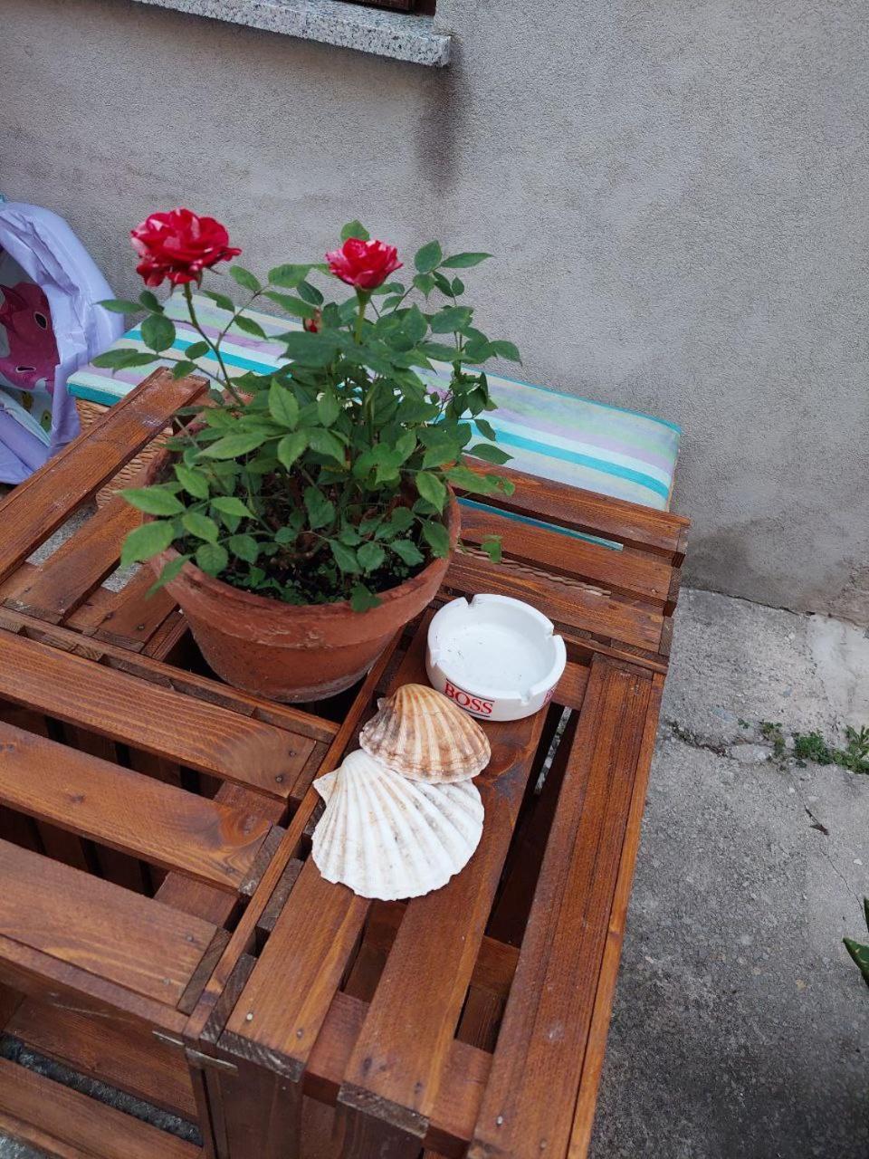 Apartma Tuna Apartment Izola
